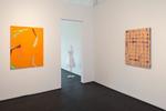 Cheryl Donegan; HAUL @ David Shelton Gallery; February 21 - March 29, 2014